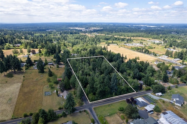 10619 238th St E, Graham, WA 98338 - photo 13