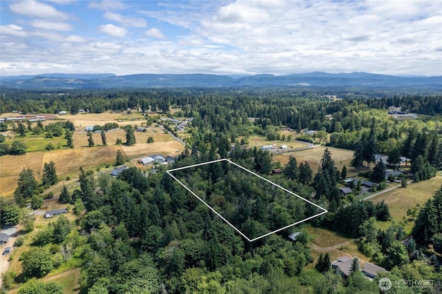 10619 238th St E, Graham, WA 98338 - photo 19