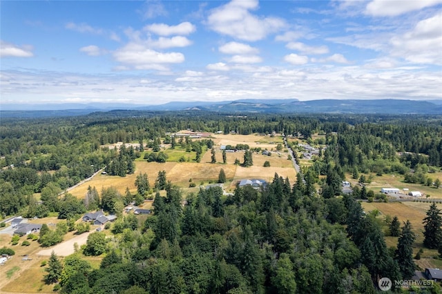 10619 238th St E, Graham, WA 98338 - photo 9
