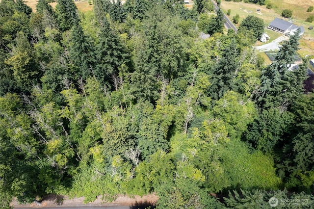 10619 238th St E, Graham, WA 98338 - photo 18