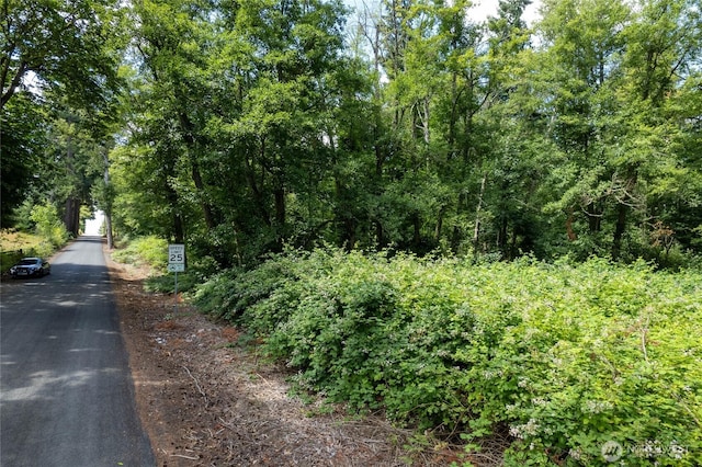 10619 238th St E, Graham, WA 98338 - photo 2