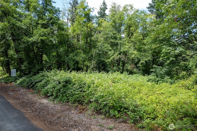 10619 238th St E, Graham, WA 98338 - photo 16