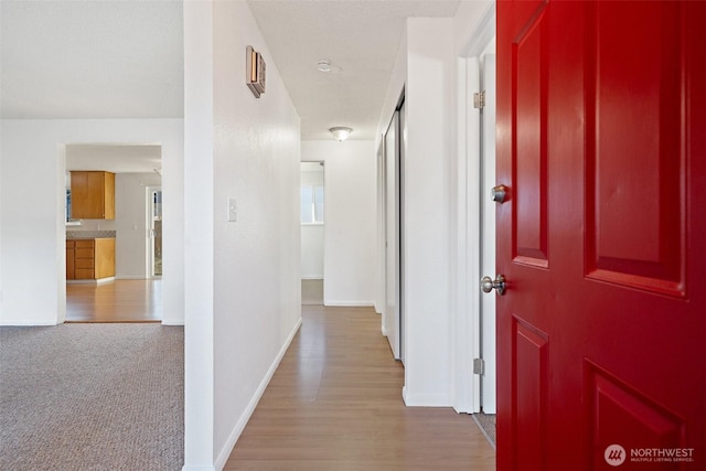 111 113 175th St S, Spanaway, WA 98387 - photo 7