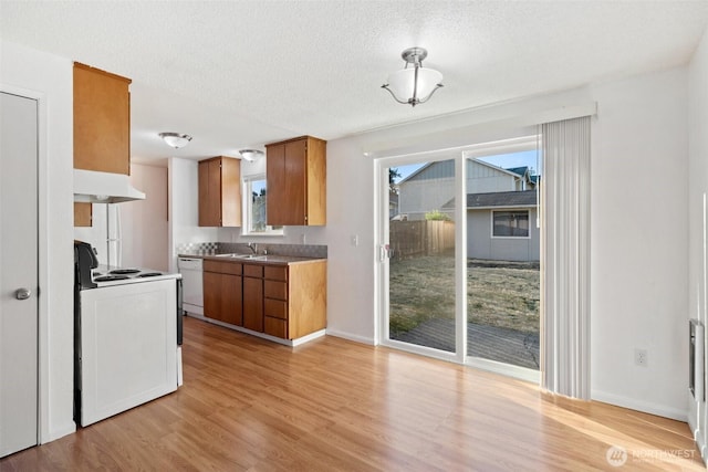 111 113 175th St S, Spanaway, WA 98387 - photo 11