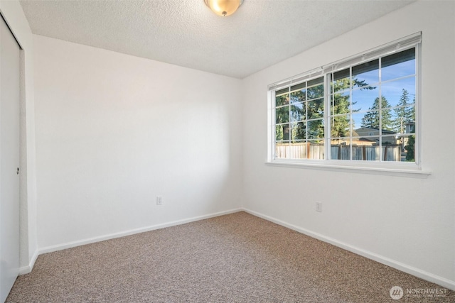 111 113 175th St S, Spanaway, WA 98387 - photo 19