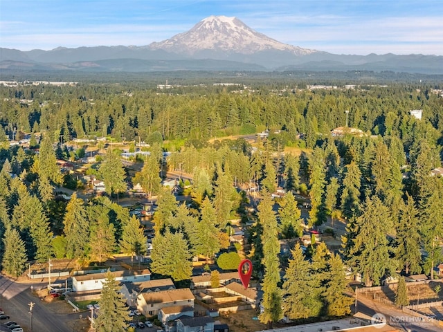 111 113 175th St S, Spanaway, WA 98387 - photo 29
