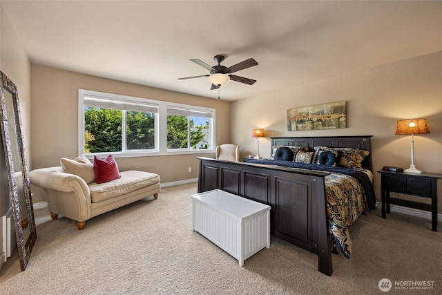 18110 114th St E, Bonney Lake, WA 98391 - photo 23