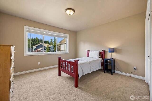 18110 114th St E, Bonney Lake, WA 98391 - photo 28