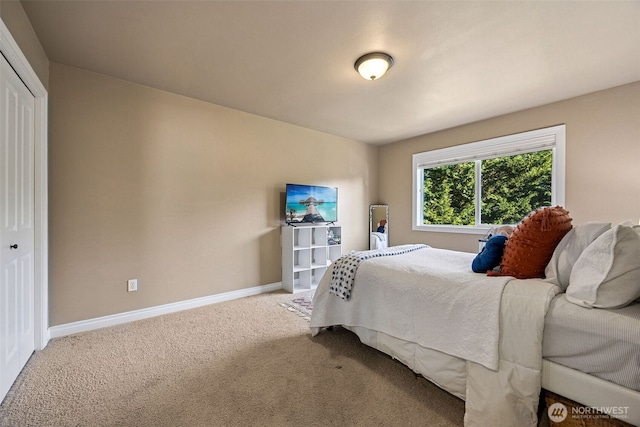 18110 114th St E, Bonney Lake, WA 98391 - photo 30