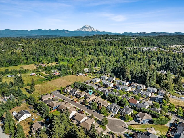 18110 114th St E, Bonney Lake, WA 98391 - photo 38