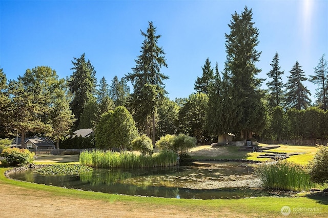 1417 232nd Pl SW, Bothell, WA 98021 - view of yard