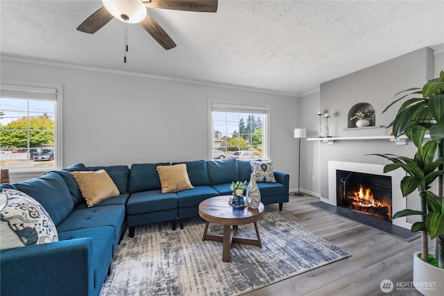 4840 E B St, Tacoma, WA 98404 - living area featuring a textured ceiling, a fireplace with flush hearth, wood finished floors, ceiling fan, and crown molding