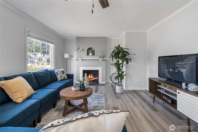 4840 E B St, Tacoma, WA 98404 - living area with wood finished floors, a lit fireplace, a textured ceiling, ceiling fan, and crown molding