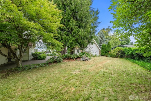 1404 Adams St, Steilacoom, WA 98388 - photo 32