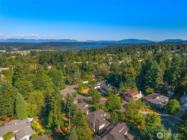 15336 NE 66th Ct, Redmond, WA 98052 - photo 38