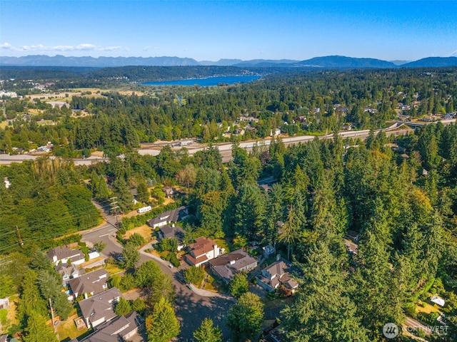 15336 NE 66th Ct, Redmond, WA 98052 - photo 39