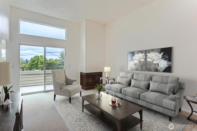 7435 Old Redmond Rd Unit 325, Redmond, WA 98052 - carpeted living area with a towering ceiling