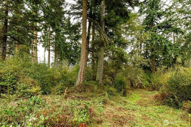 1087 Susan St, Coupeville, WA 98239
