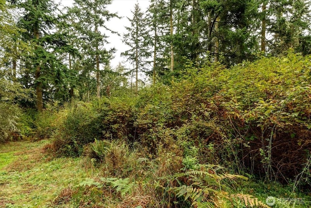 1087 Susan St, Coupeville, WA 98239