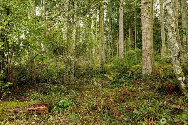 1087 Susan St, Coupeville, WA 98239