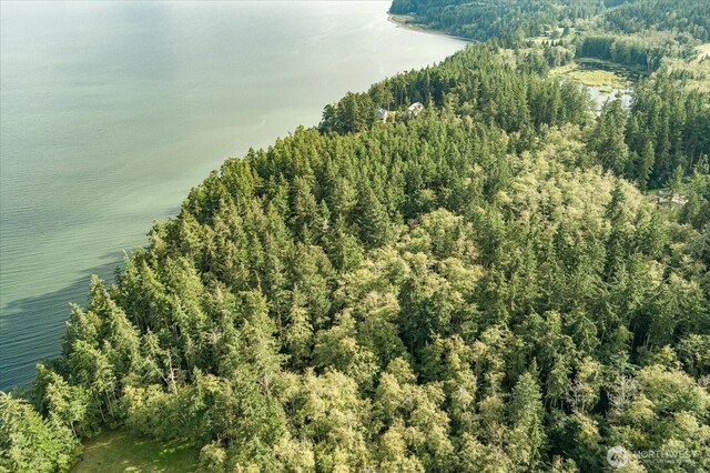 1087 Susan St, Coupeville, WA 98239