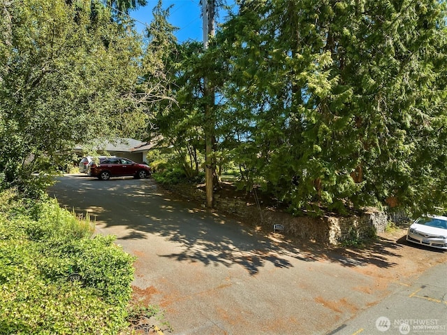 7836 NE 14th St, Medina, WA 98039 - photo 3