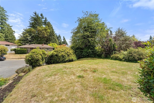 22720 90th Ave W, Edmonds, WA 98026 - view of grassy yard
