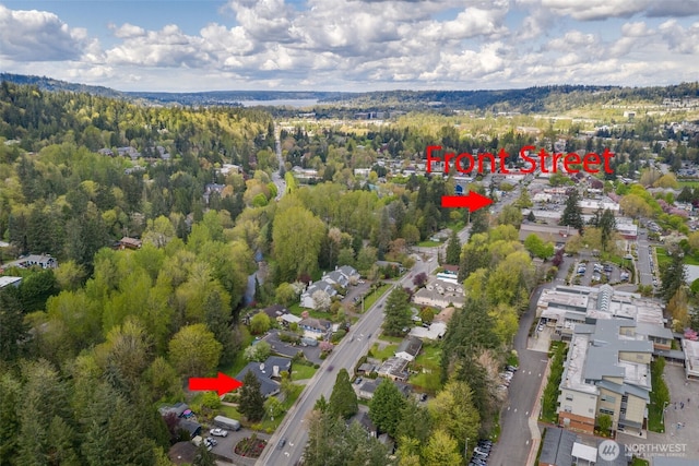 415 Front St S, Issaquah, WA 98027 - photo 36