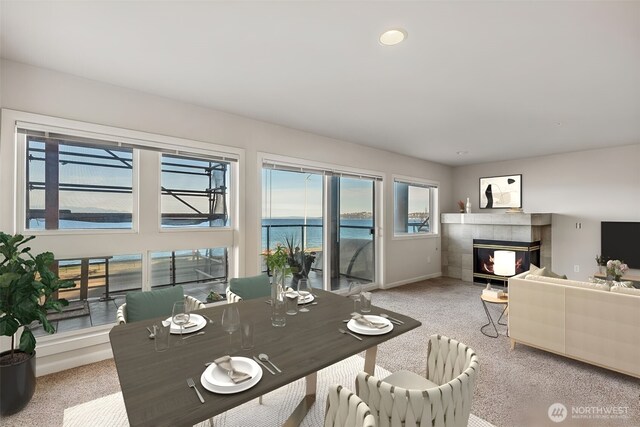 1300 Alki Ave SW Unit 100, Seattle, WA 98116 - carpeted living area with a tile fireplace and recessed lighting