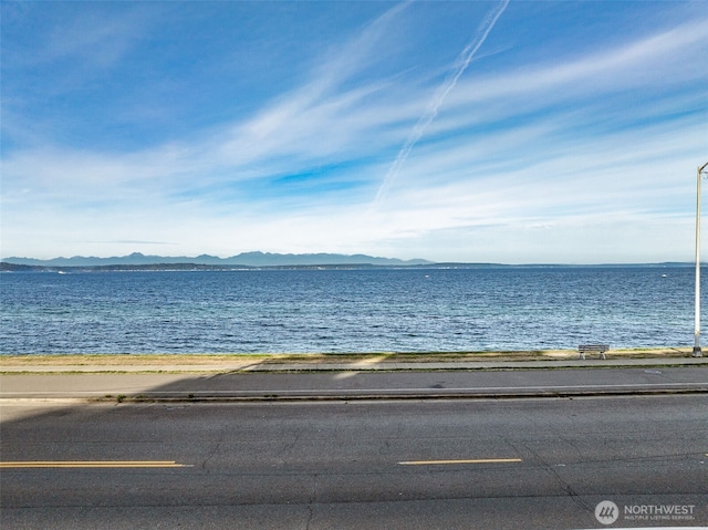 1300 Alki Ave SW Unit 100, Seattle, WA 98116 - water view with a mountainous background