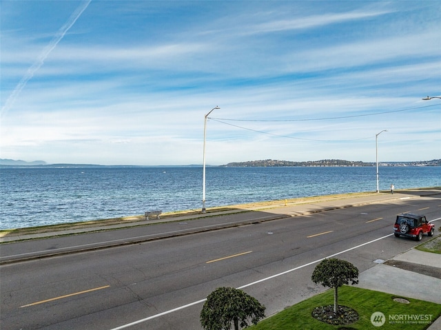 1300 Alki Ave SW Unit 100, Seattle, WA 98116 - water view