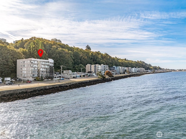 1300 Alki Ave SW Unit 100, Seattle, WA 98116 - water view