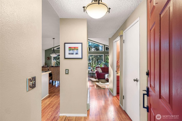19 Ridge Crest Way, Bellingham, WA 98229 - photo 4