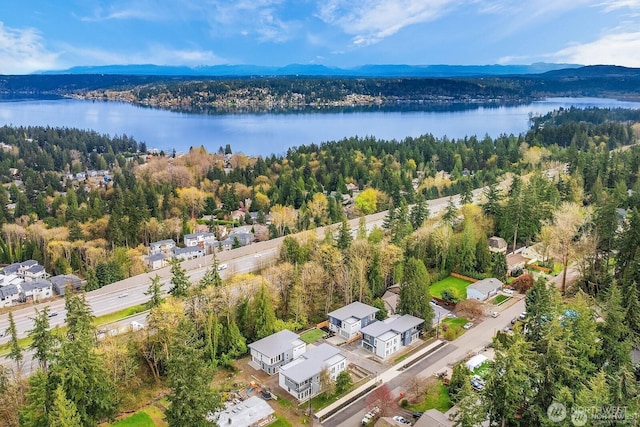 3973 162nd Pl SE, Bellevue, WA 98006 - photo 34