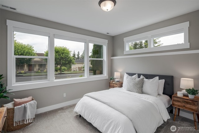 921 Whitewater Dr, Bellingham, WA 98229 - bedroom featuring carpet floors and baseboards