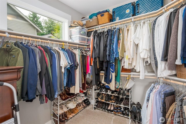 921 Whitewater Dr, Bellingham, WA 98229 - walk in closet with carpet