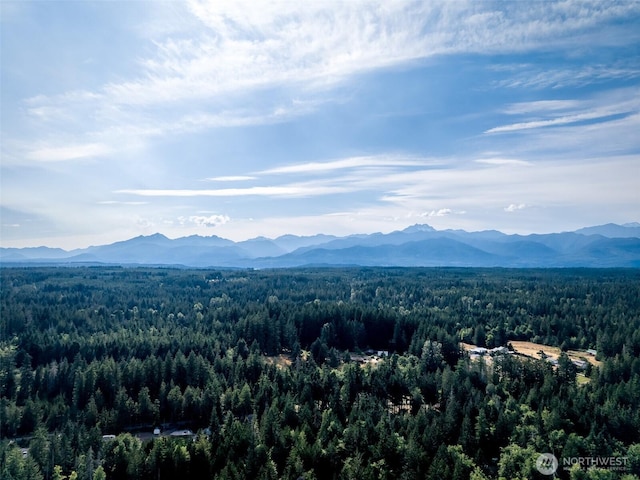 660 Peter Hagen Rd W, Seabeck, WA 98383 - photo 37