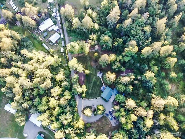 34430 Enumclaw Black Diamond Rd SE, Black Diamond, WA 98010 - photo 34