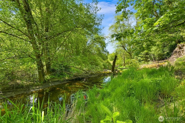 8894 Giles Rd, Blaine, WA 98230 - view of nature