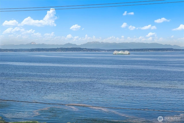 1706 Alki Ave SW Unit A, Seattle, WA 98116 - water view featuring a mountain backdrop