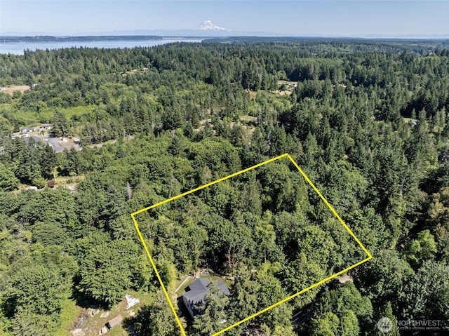 821 174th Ave NW, Lakebay, WA 98349 - aerial overview of property's location with property boundaries highlighted and a nearby body of water