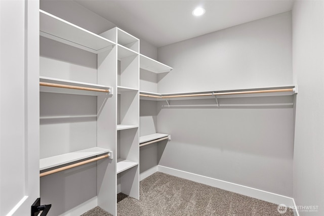 821 174th Ave NW, Lakebay, WA 98349 - spacious closet featuring carpet flooring