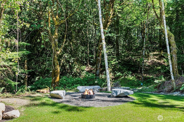 821 174th Ave NW, Lakebay, WA 98349 - view of grassy yard with a fire pit