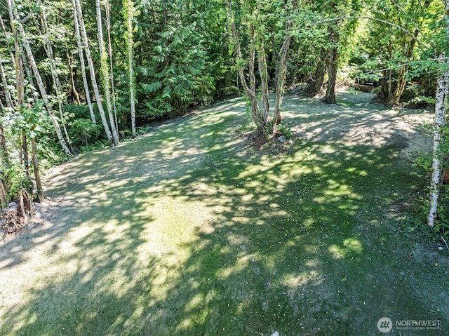 821 174th Ave NW, Lakebay, WA 98349 - view of grassy yard