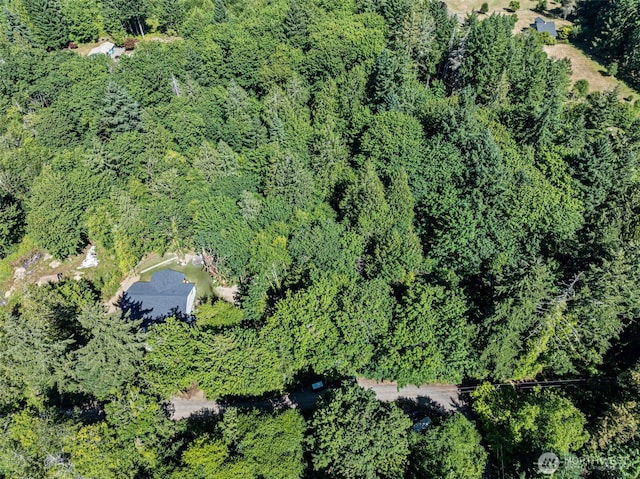 821 174th Ave NW, Lakebay, WA 98349 - aerial view of property's location with a forest