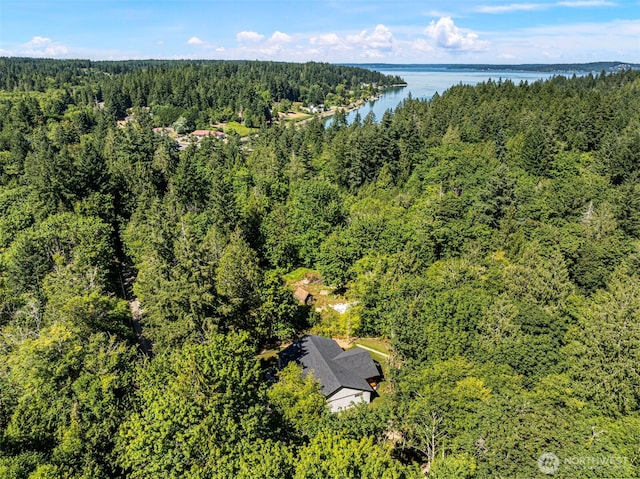 821 174th Ave NW, Lakebay, WA 98349 - aerial view of a heavily wooded area and a nearby body of water