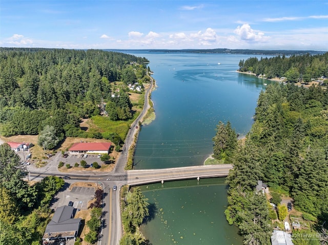 821 174th Ave NW, Lakebay, WA 98349 - aerial overview of property's location with a large body of water and a forest