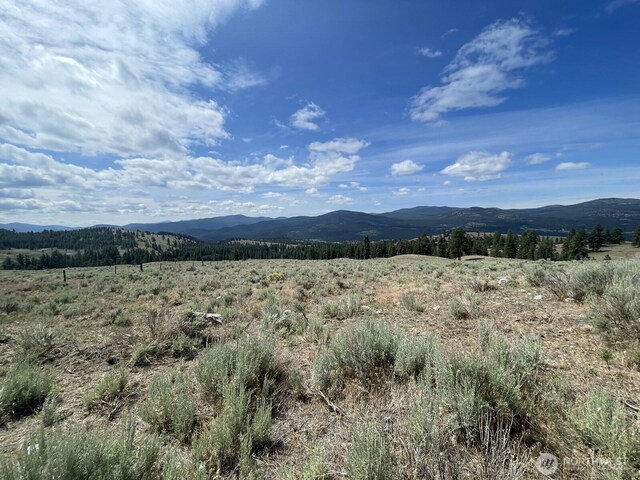 16 Breezy Ln, Tonasket, WA 98855 - photo 4
