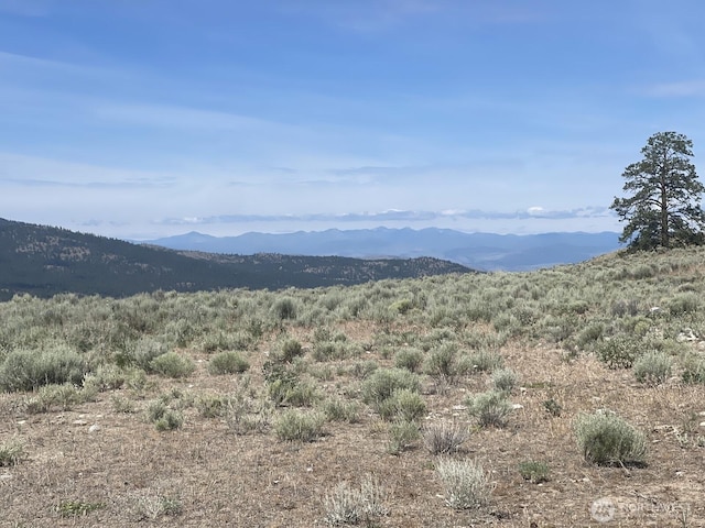 16 Breezy Ln, Tonasket, WA 98855 - photo 18