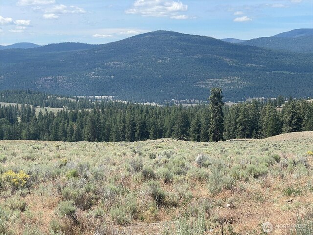 16 Breezy Ln, Tonasket, WA 98855 - photo 23